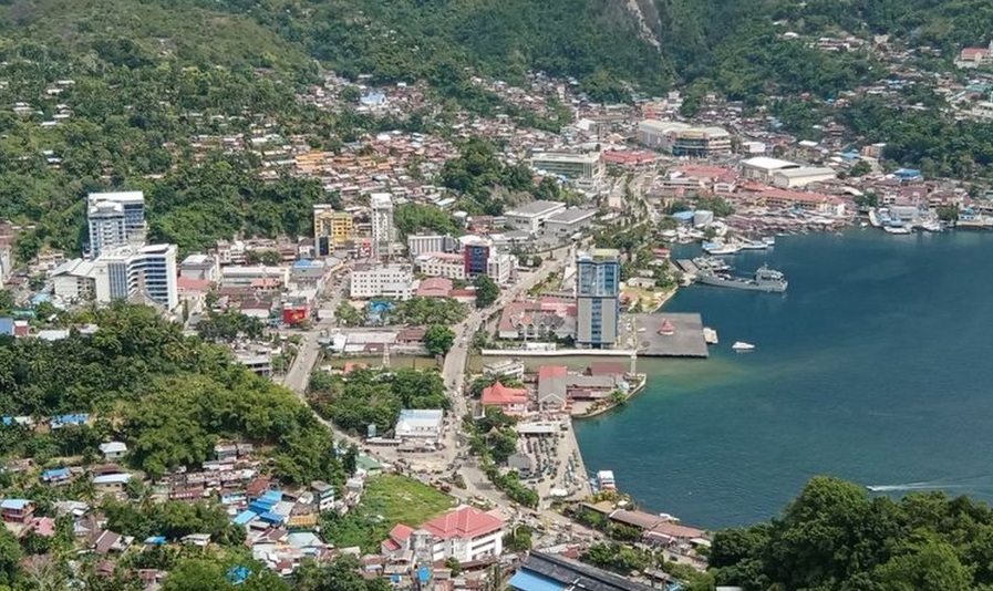 Cara Cek Pajak Kendaraan di Kabupaten Jayapura Terbaru