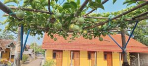 10 Kost di Cipeundeuy, Kabupaten Subang