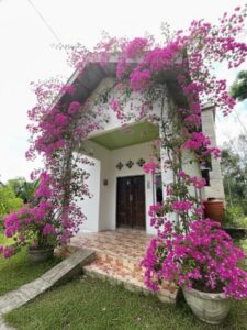 10 Kost di Mantewe, Tanah Bumbu