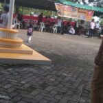 10 Kost di Sungai Beduk